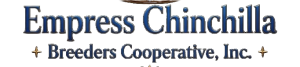 Header_logo
